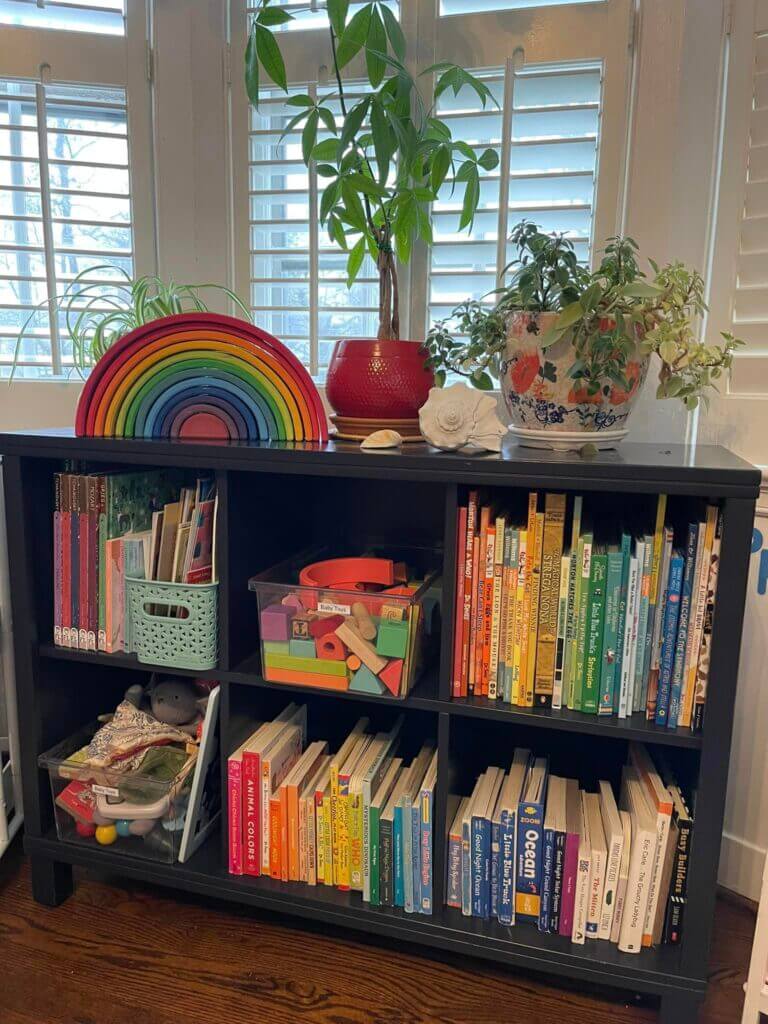 Home Organizer, Professional Home Organizer, Winston Salem Home Organizer, Organized, Organize, Buena Vista, Brookberry Farm, Ardmore, Reynolda, Reynolda Village, 27106, Polo, Country Club, Robinhood, Mount Tabor, New Sherwood Forest, Bent Tree Farm, Old Salem, Bermuda Run, Greenbrier Farm, 27104