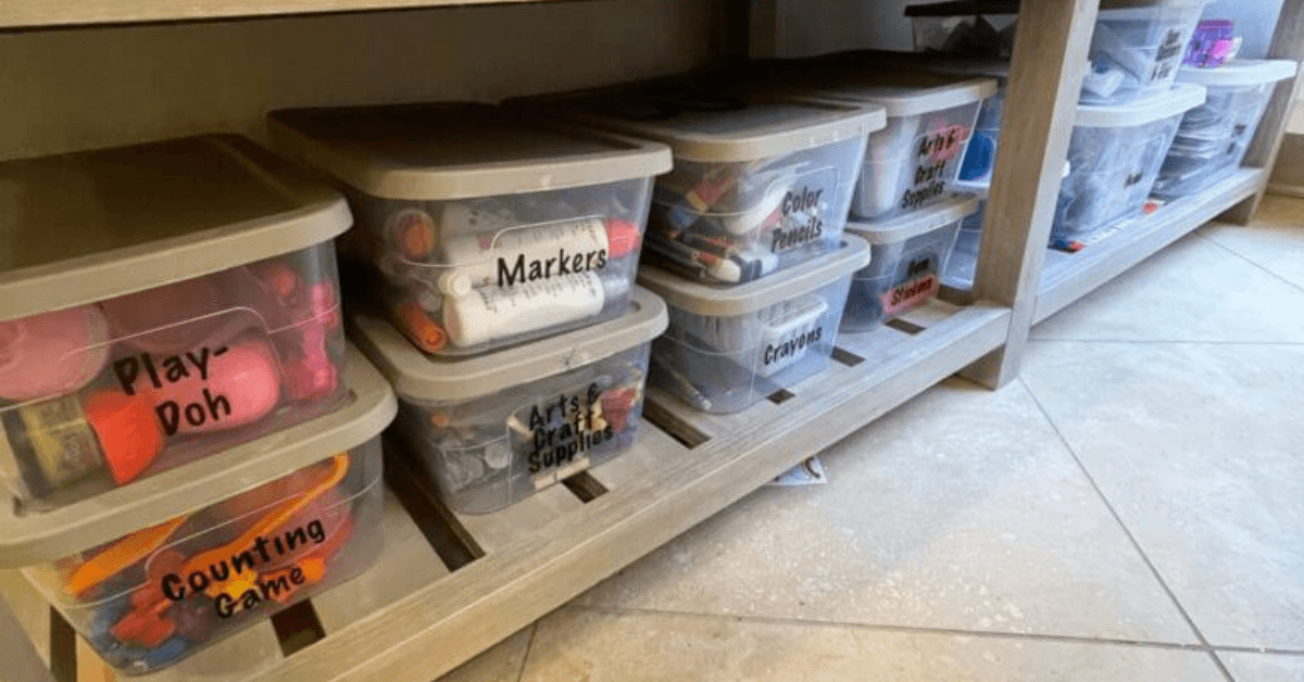 organized toys, professional home organizer, Organized Jill, Winston Salem nc