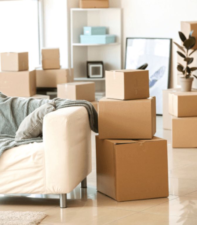 A living room with a beige couch, stacked cardboard boxes, a plant, and shelves. The space appears organized and ready for moving or unpacking.