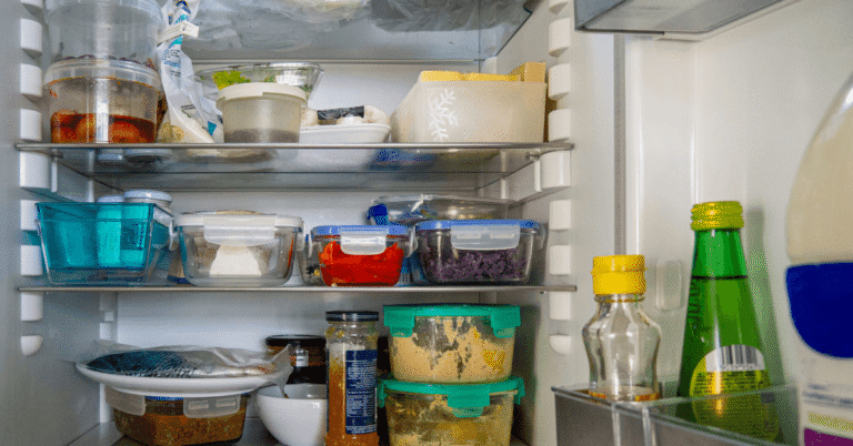 The Land of Long Lost Leftovers