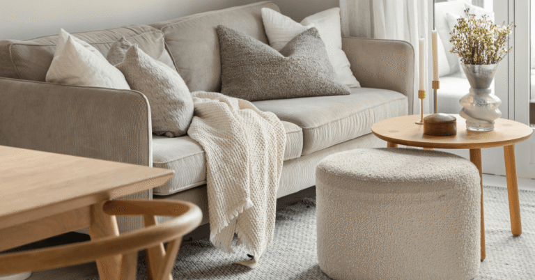 cozy, clutter free living room, professional home organizer, Organized Jill, Winston Salem NC